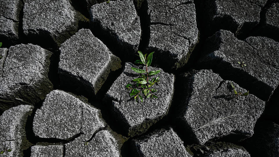 The Strategic Asset Europe Has Overlooked