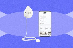 Best Water Leak Detectors (2026): Moen, Phyn, TP-Link