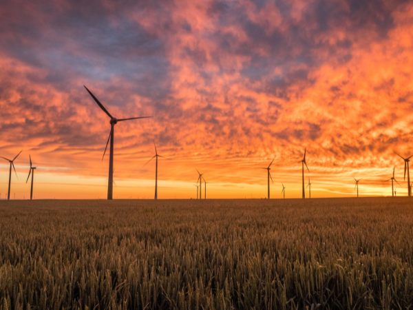 Beyond cannibalization: Structuring hybrid renewables for bankable returns