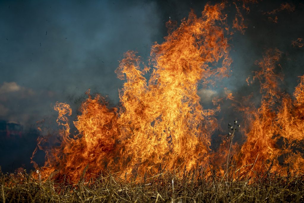 Wildfire detection from space? XPRIZE competition awards promising emerging resilience tech