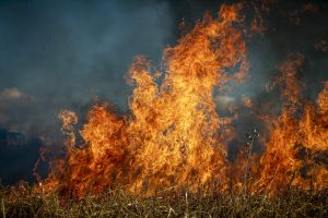 Wildfire detection from space? XPRIZE competition awards promising emerging resilience tech
