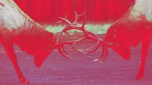 How friction can spark creativity at work