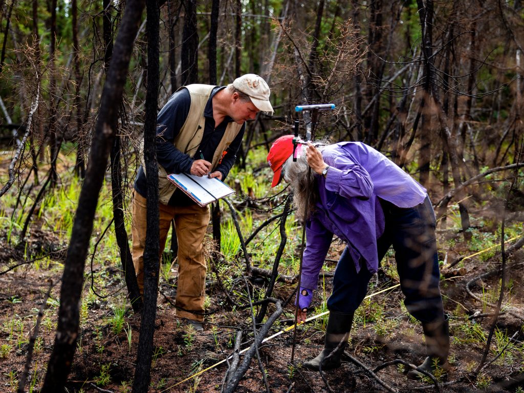 Inside the quest to combat Arctic fires and save the planet’s frozen carbon