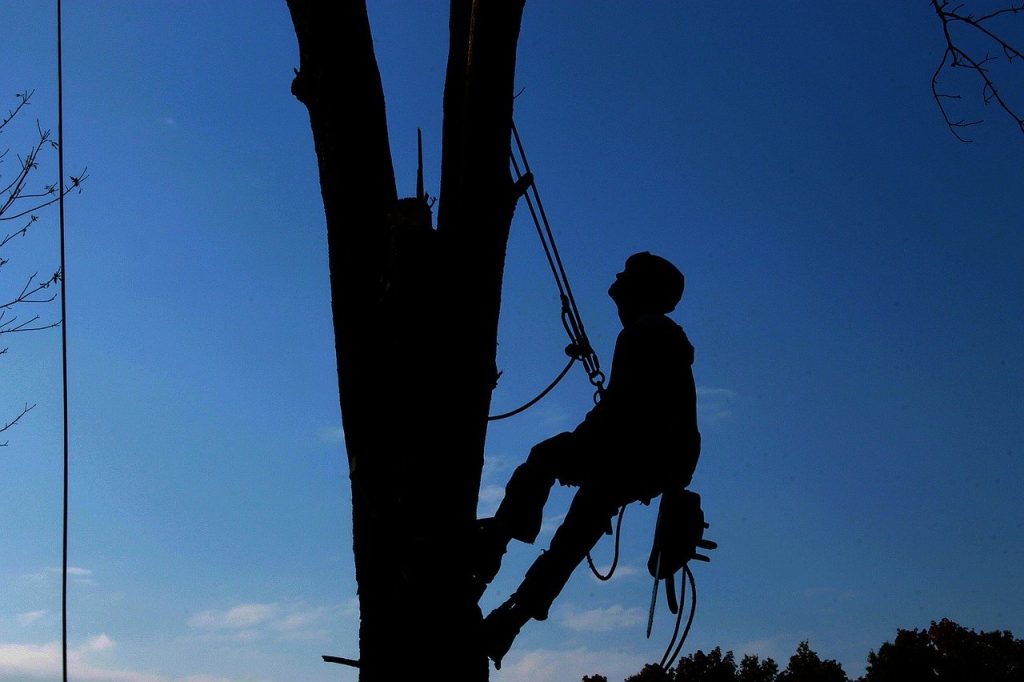 PG&E puts a $22.5B price tag on San Francisco public grid takeover proposal