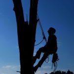 PG&E puts a $22.5B price tag on San Francisco public grid takeover proposal