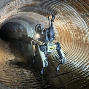 ICE plan to buy robot dogs spurs protest from hundreds of Boston Dynamics employees
