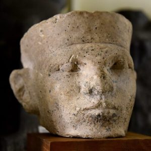 New forensic evidence supports Egyptian "retainer sacrifice"