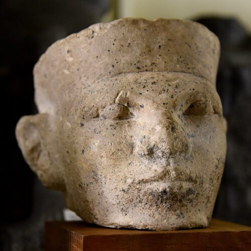 New forensic evidence supports Egyptian "retainer sacrifice"