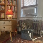 How I kept cool with NYC's free battery program for window AC units