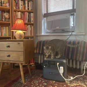 How I kept cool with NYC's free battery program for window AC units