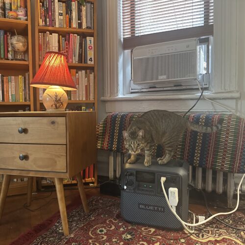 How I kept cool with NYC's free battery program for window AC units