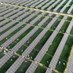 California and Texas are swimming in solar + storage | Factor This Brief